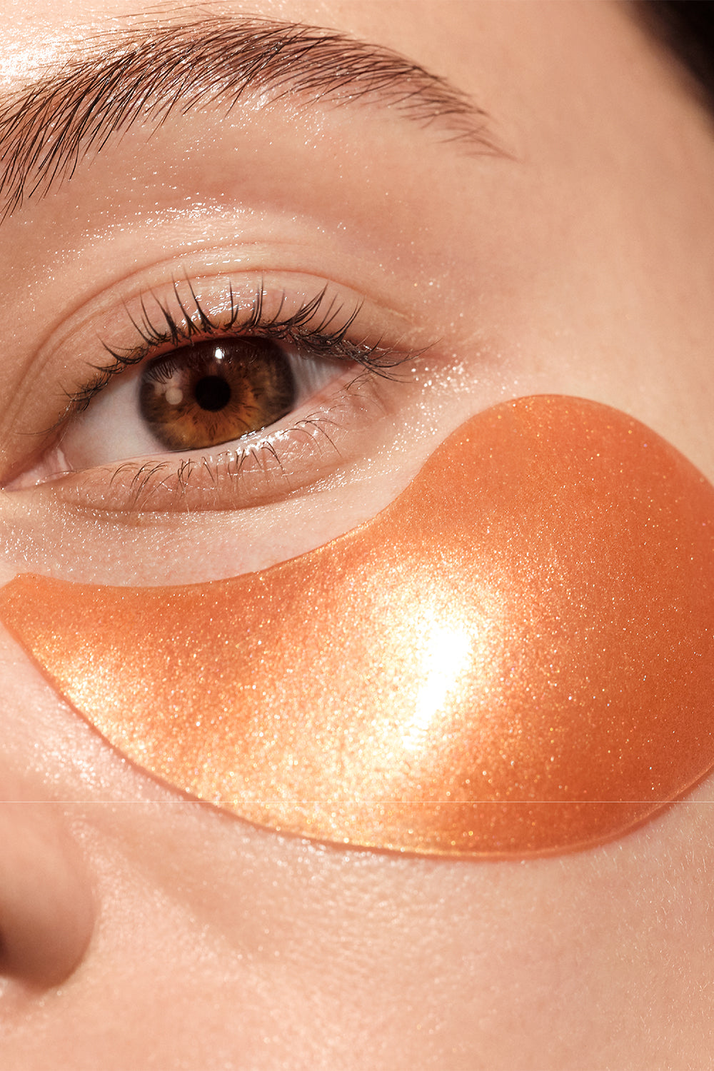 The Illuminating Collection