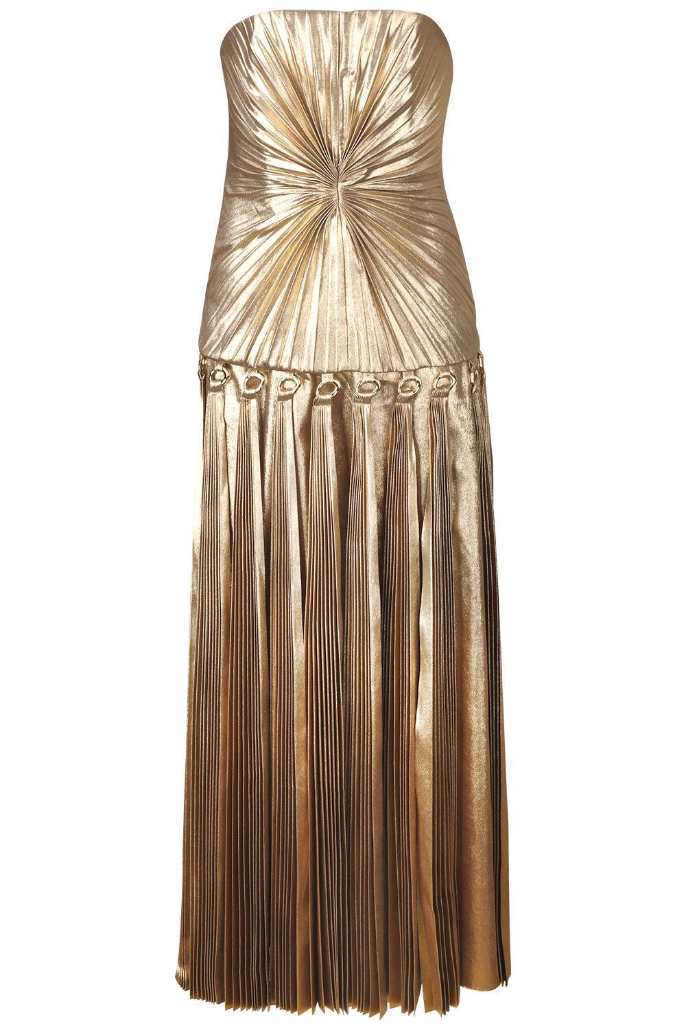Acler Women's Fintry Metallic Pleated Gown - Gold