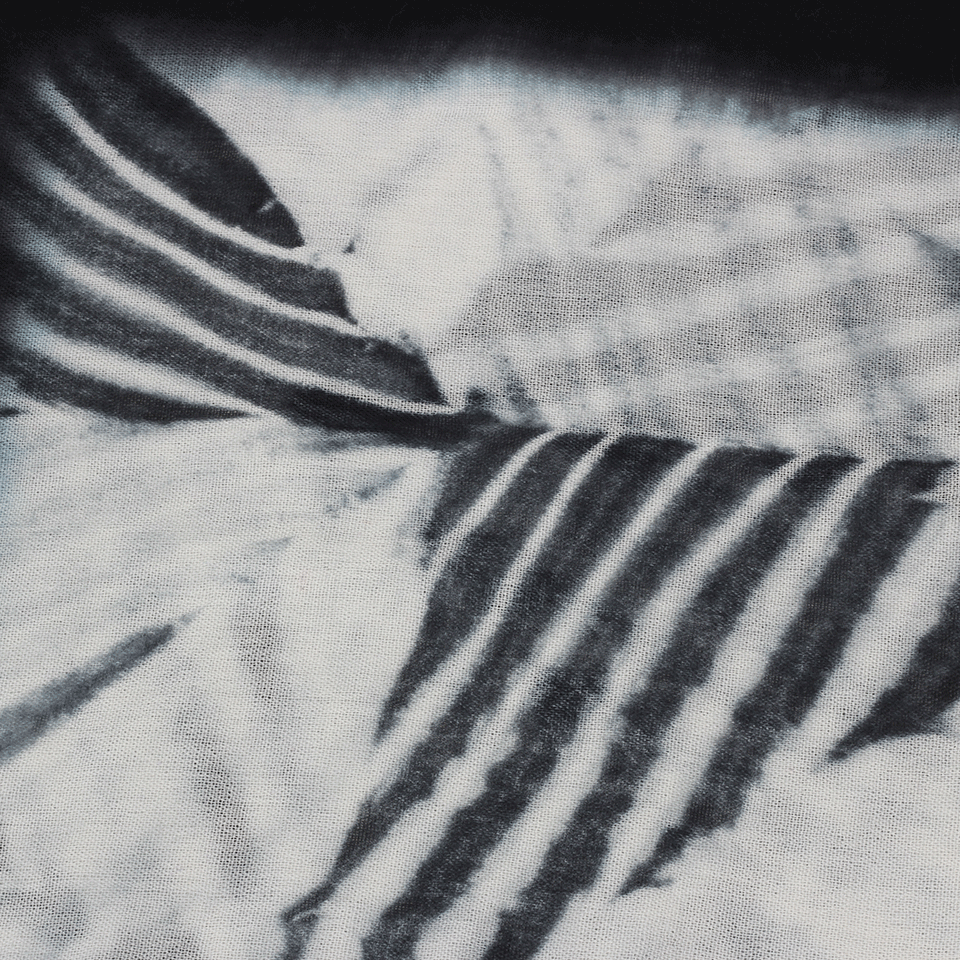 BAJRA SHAWLS-Wool Gauze Scarf-Z096SWHT