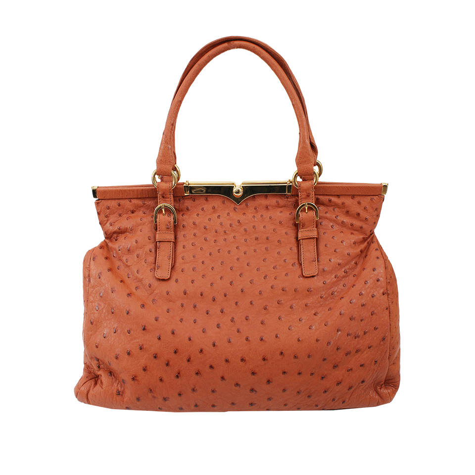 HELENE HANDBAGS-Ostrich Doctors Bag-CHERRYWD