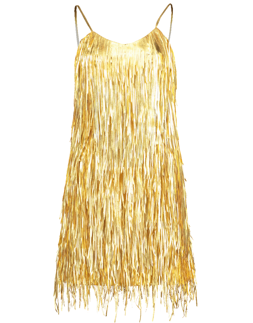 Metallic Fringe Slip Dress | MICHAEL KORS COLLECTION Marissa Collections Metallic Fringe Slip Dress | MICHAEL KORS COLLECTION Marissa Collections