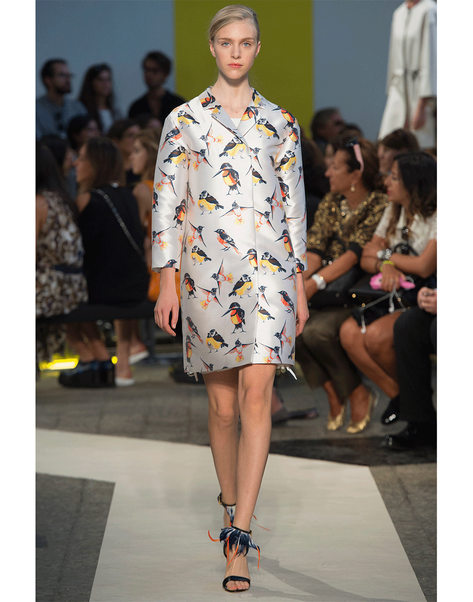 MSGM-Bird Print Coat-