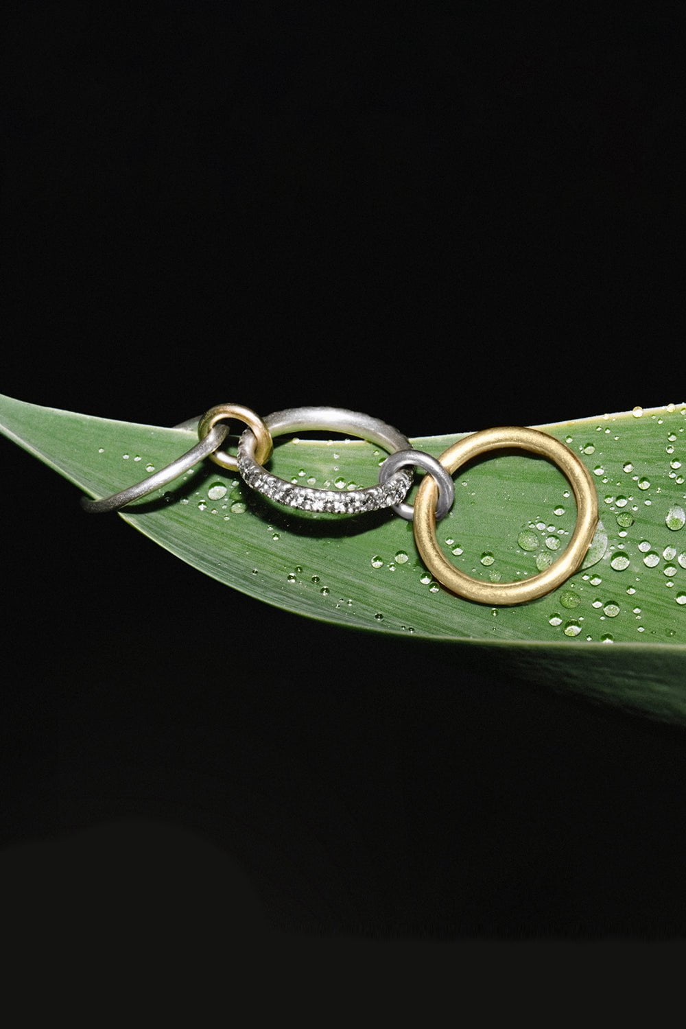 SPINELLI KILCOLLIN-Petunia SG Gris 3 Link Ring-