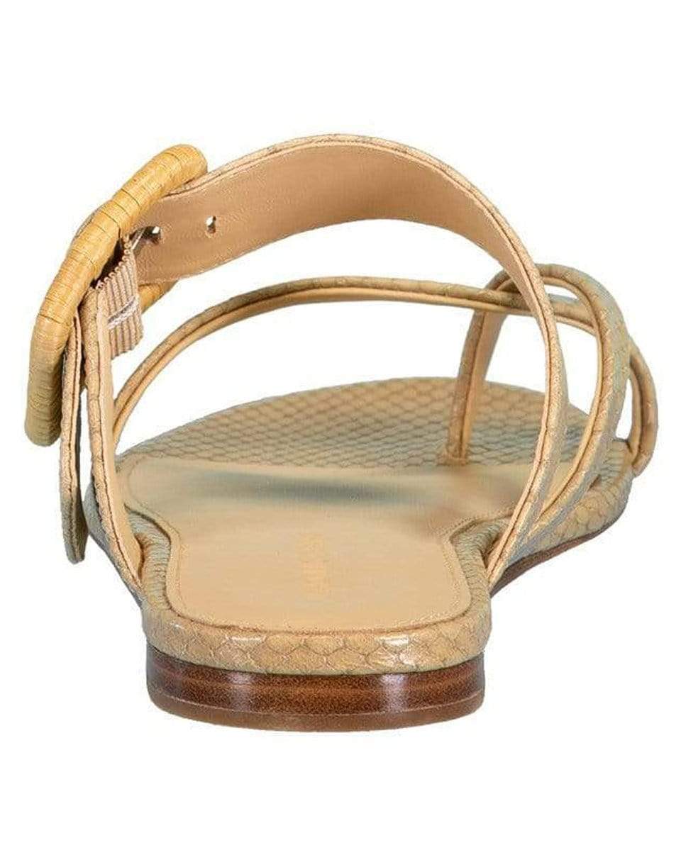 VERONICA BEARD-Salva Snake-Print Buckle Flat Sandals-
