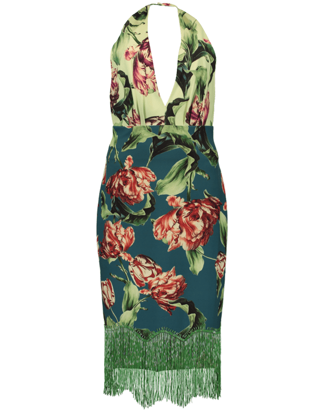 PATBO-Botanica Print Dress-