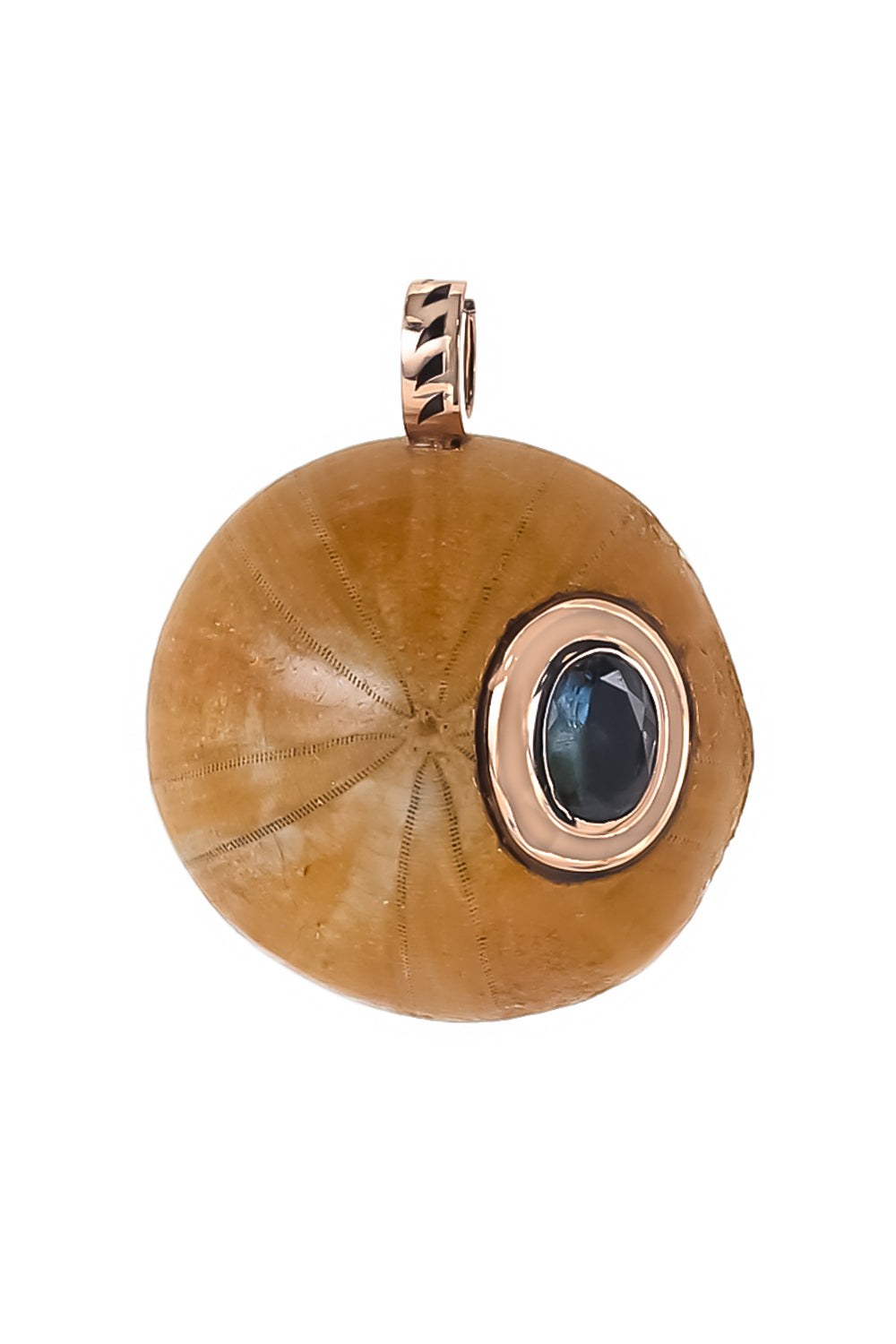 Aquamarine Fossilized Sand Dollar Pendant