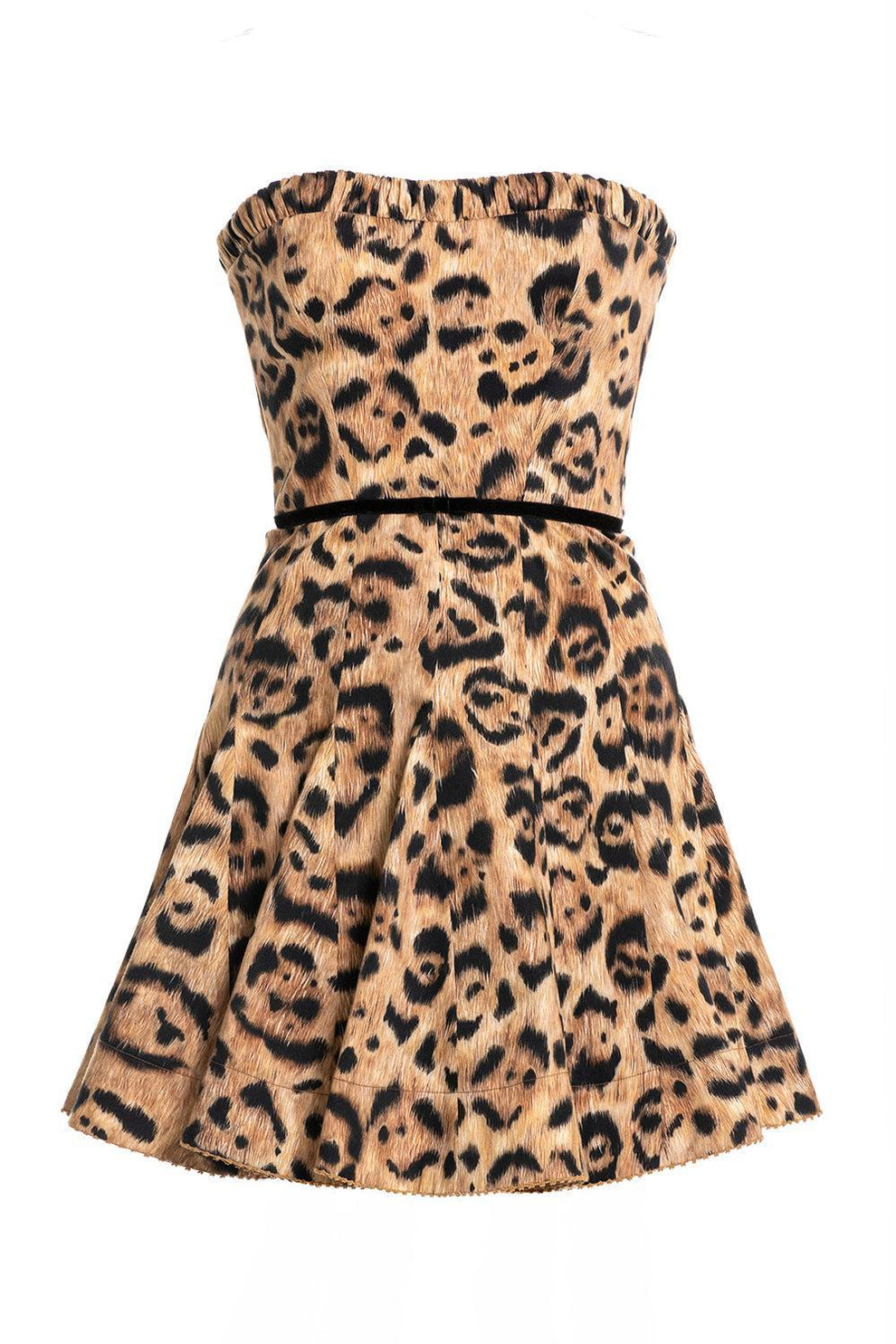 Caudal Jaguar Mini Dress | AGUA BY AGUA BENDITA  Marissa Collections