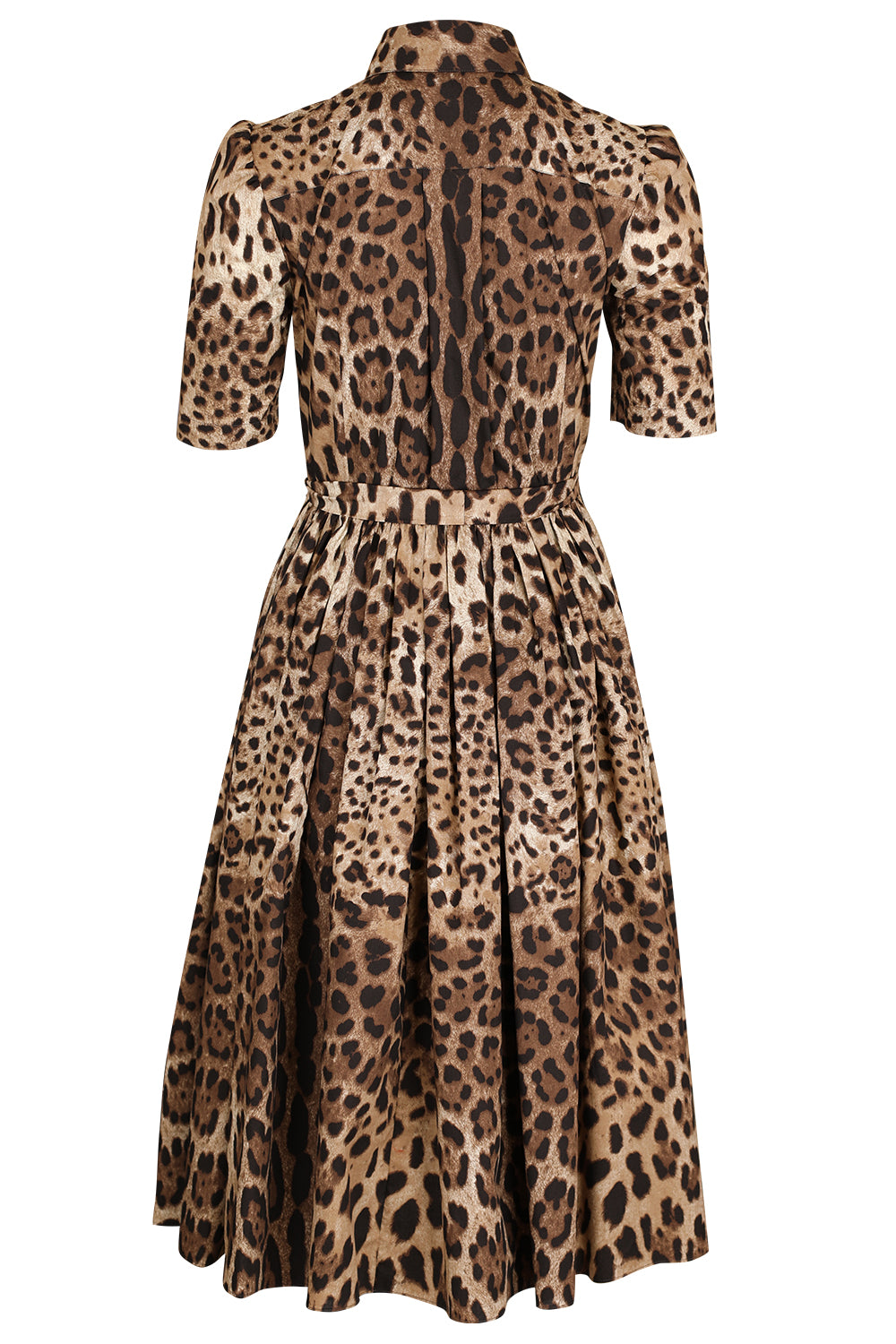 Leo Dress