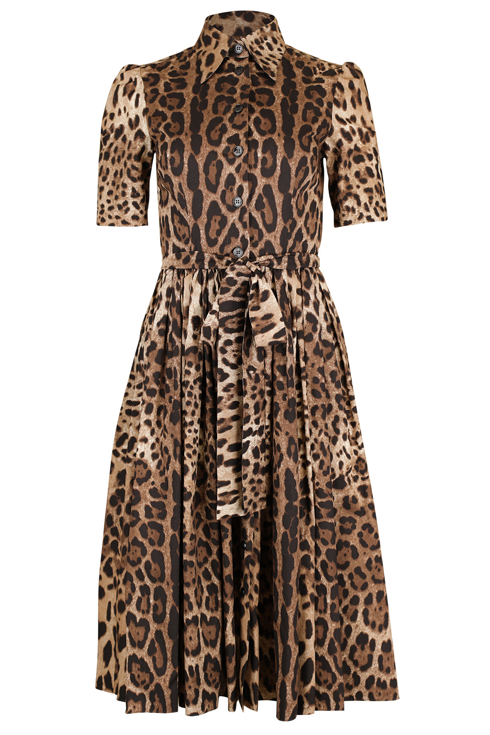 Leo Dress