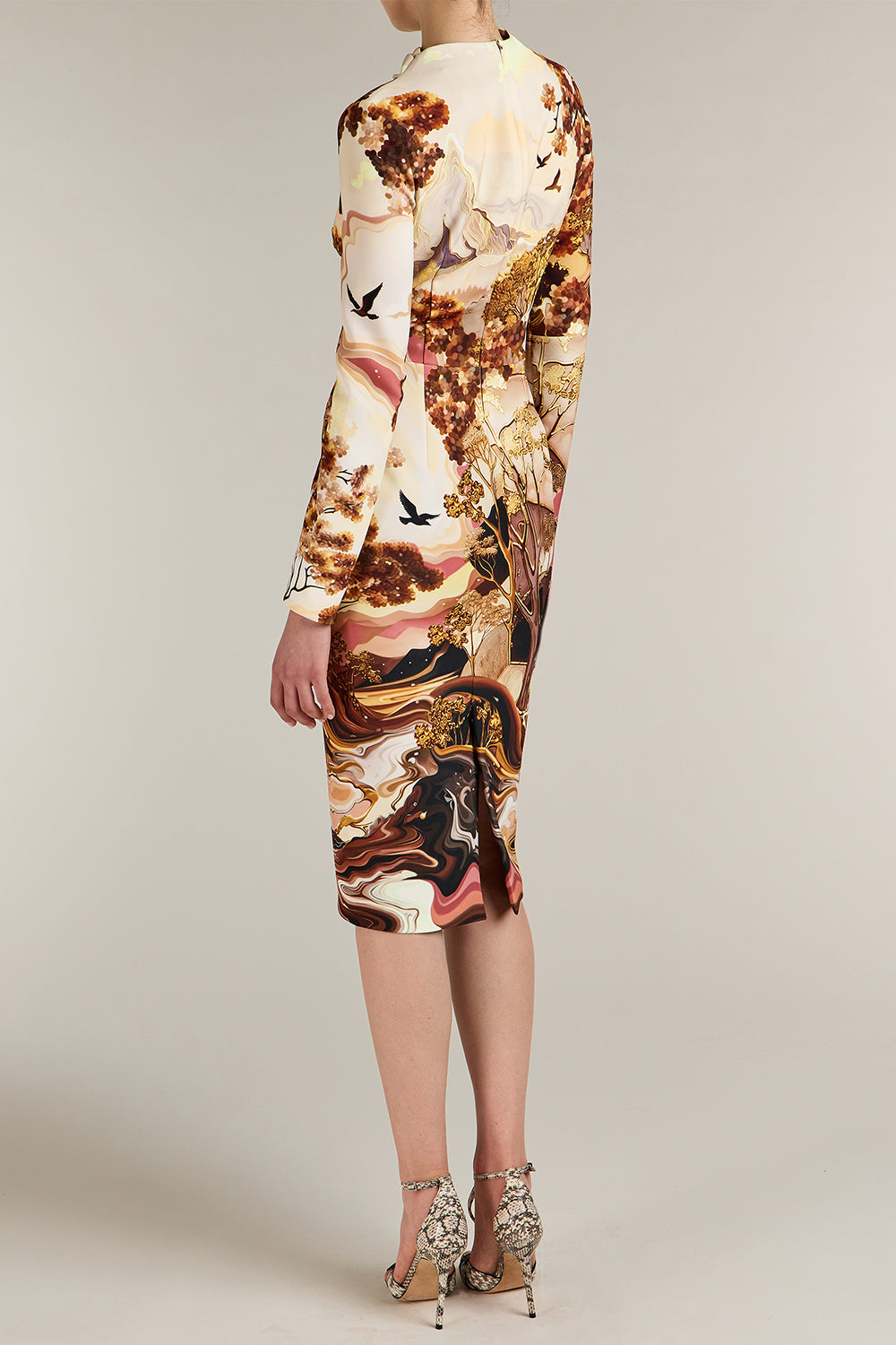 Aeila Landscape Print Long Sleeve Midi Dress