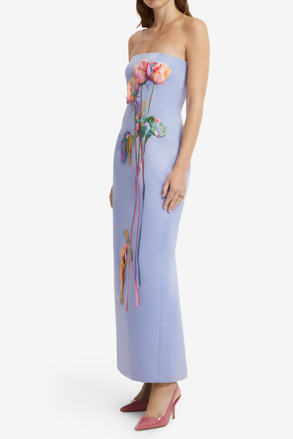 Rayna Embroidered Bustier Maxi Dress