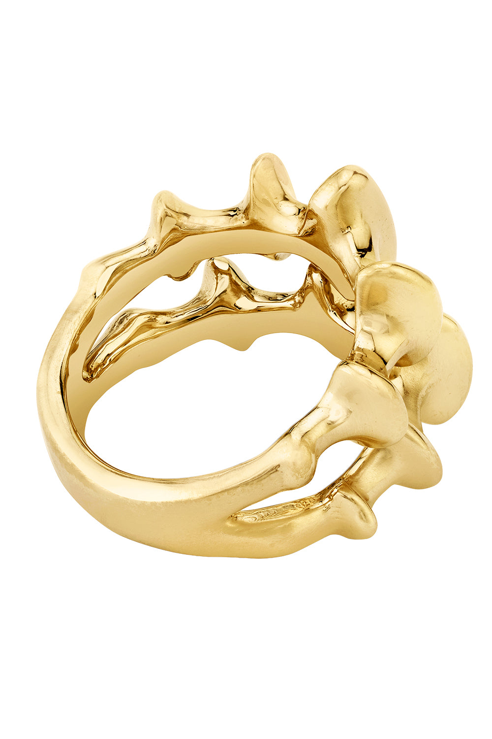 Chrone II Ring