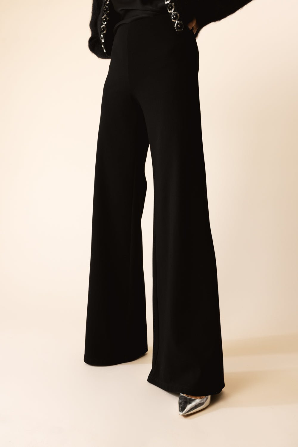 ALBERTA FERRETTI-Wide Leg Pant-