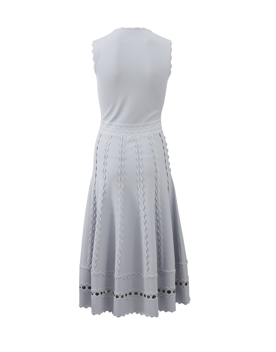 ALEXANDER MCQUEEN-3-D A-Line Dress-