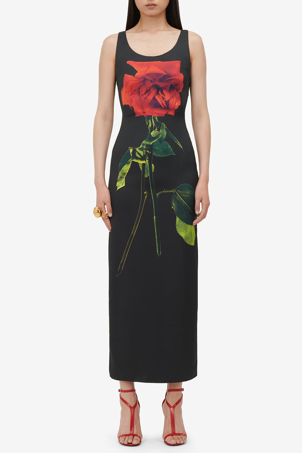 Rose Print Midi Dress