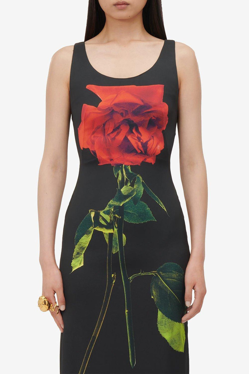 Rose Print Midi Dress