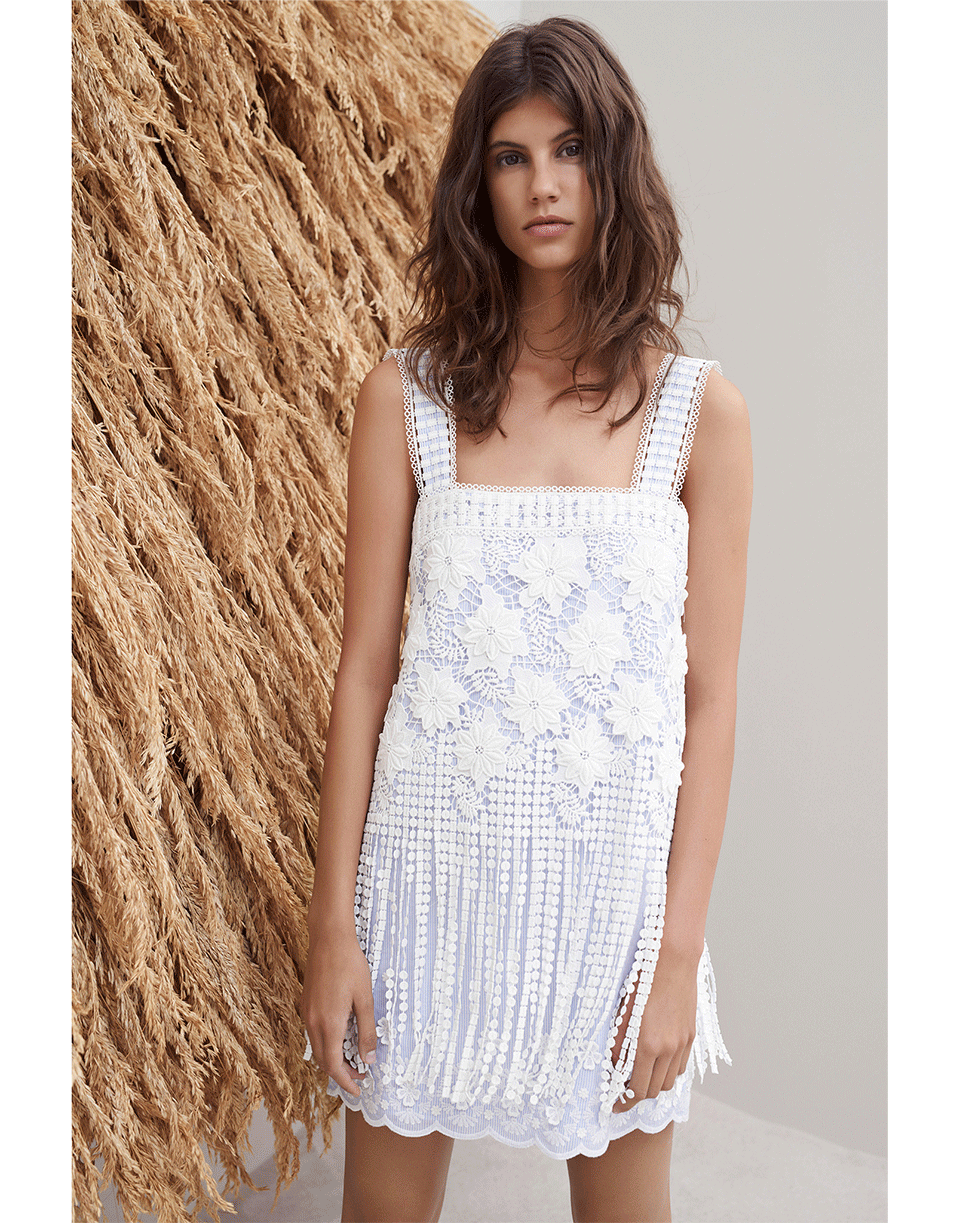 alexis lace mini dress Fulton Fringe Dress