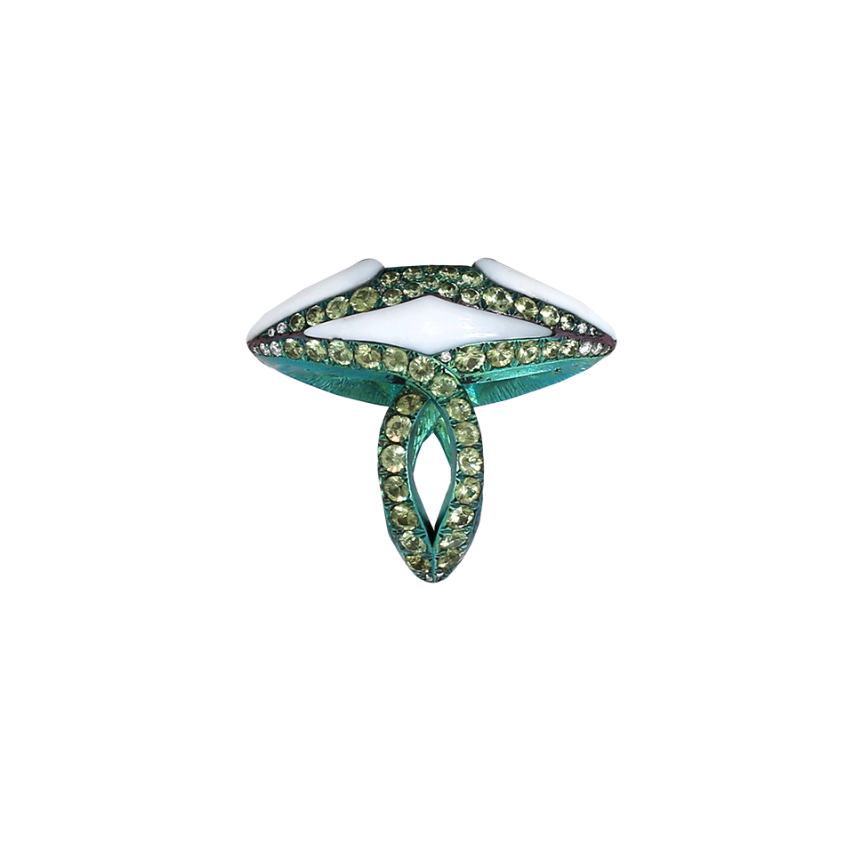 ARUNASHI-Rhodolite And Demantoid Garnet Ring-TITANIUM