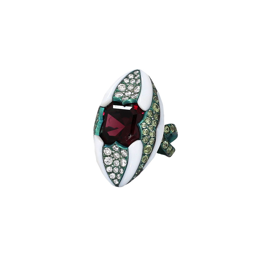 ARUNASHI-Rhodolite And Demantoid Garnet Ring-TITANIUM