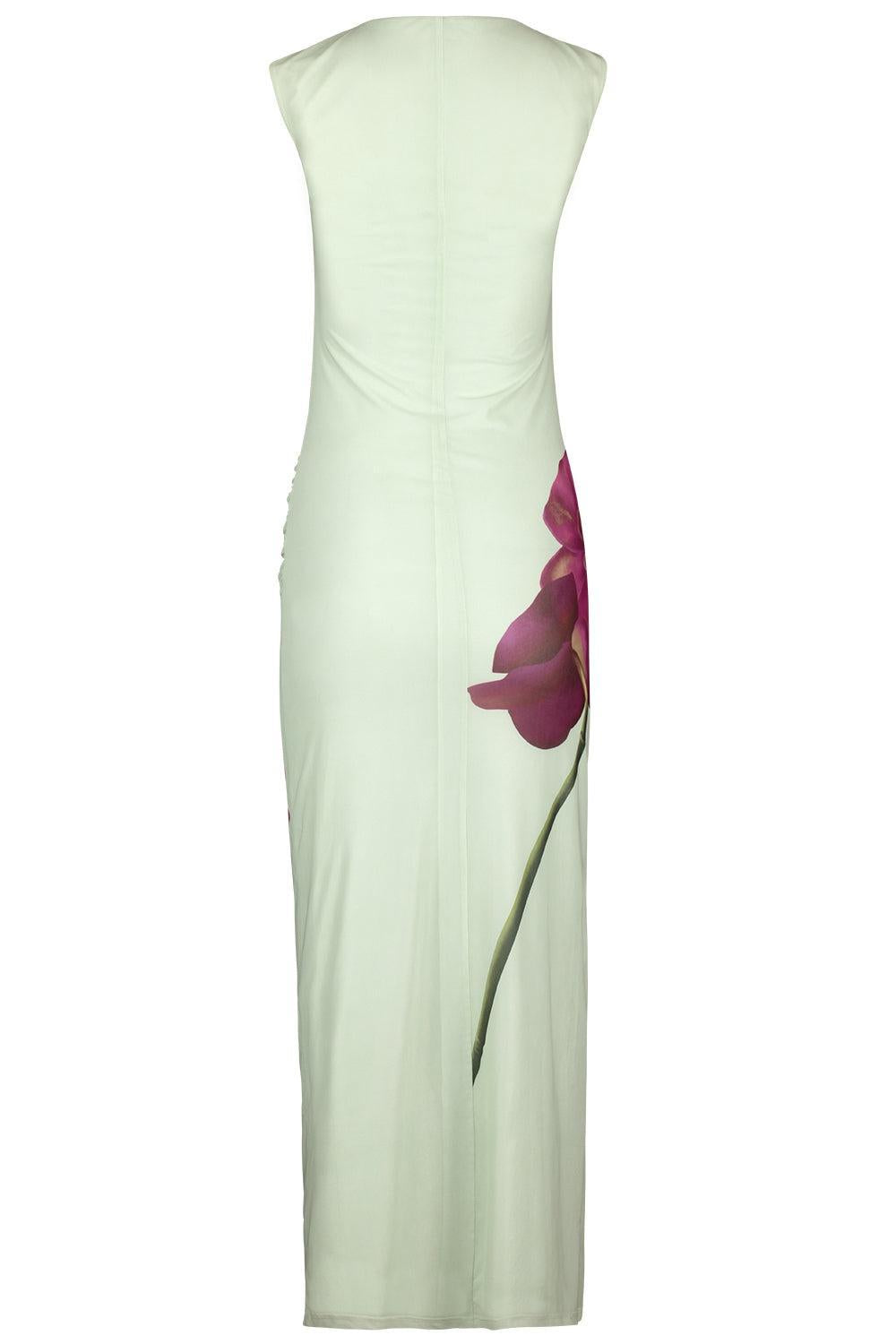 Ariel Midi Dress-MDWPHALA-2-CLOTHINGDRESSCOCKTAIL-ASTON STUDIO