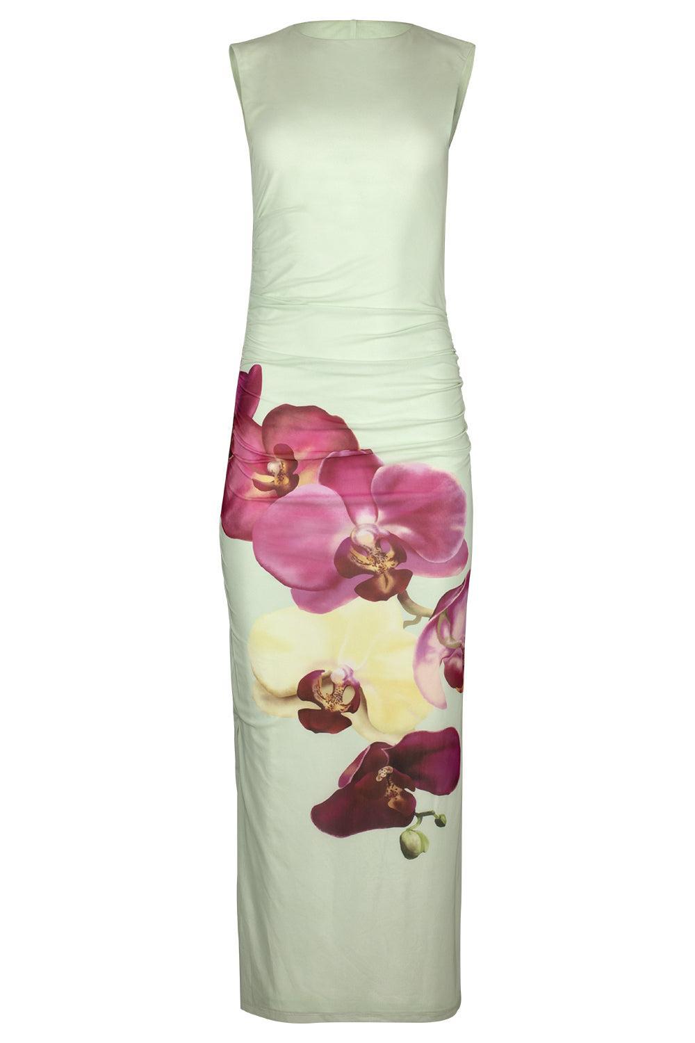 Ariel Midi Dress-MDWPHALA-2-CLOTHINGDRESSCOCKTAIL-ASTON STUDIO