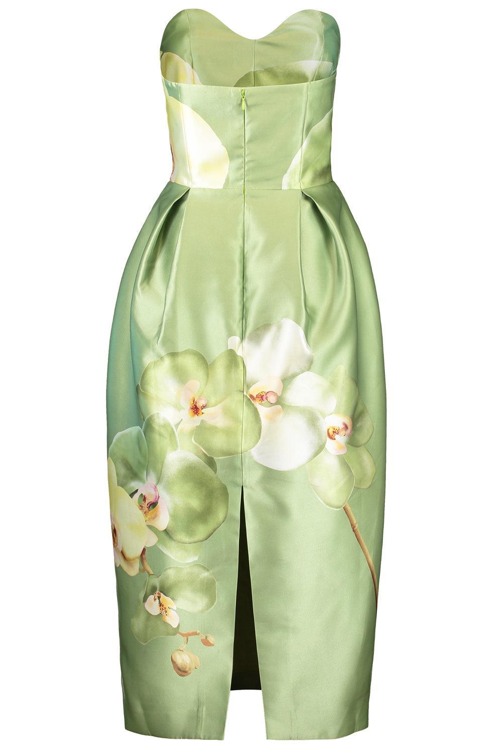 Sophia Midi Dress-MDWPHALA-2-CLOTHINGDRESSCOCKTAIL-ASTON STUDIO
