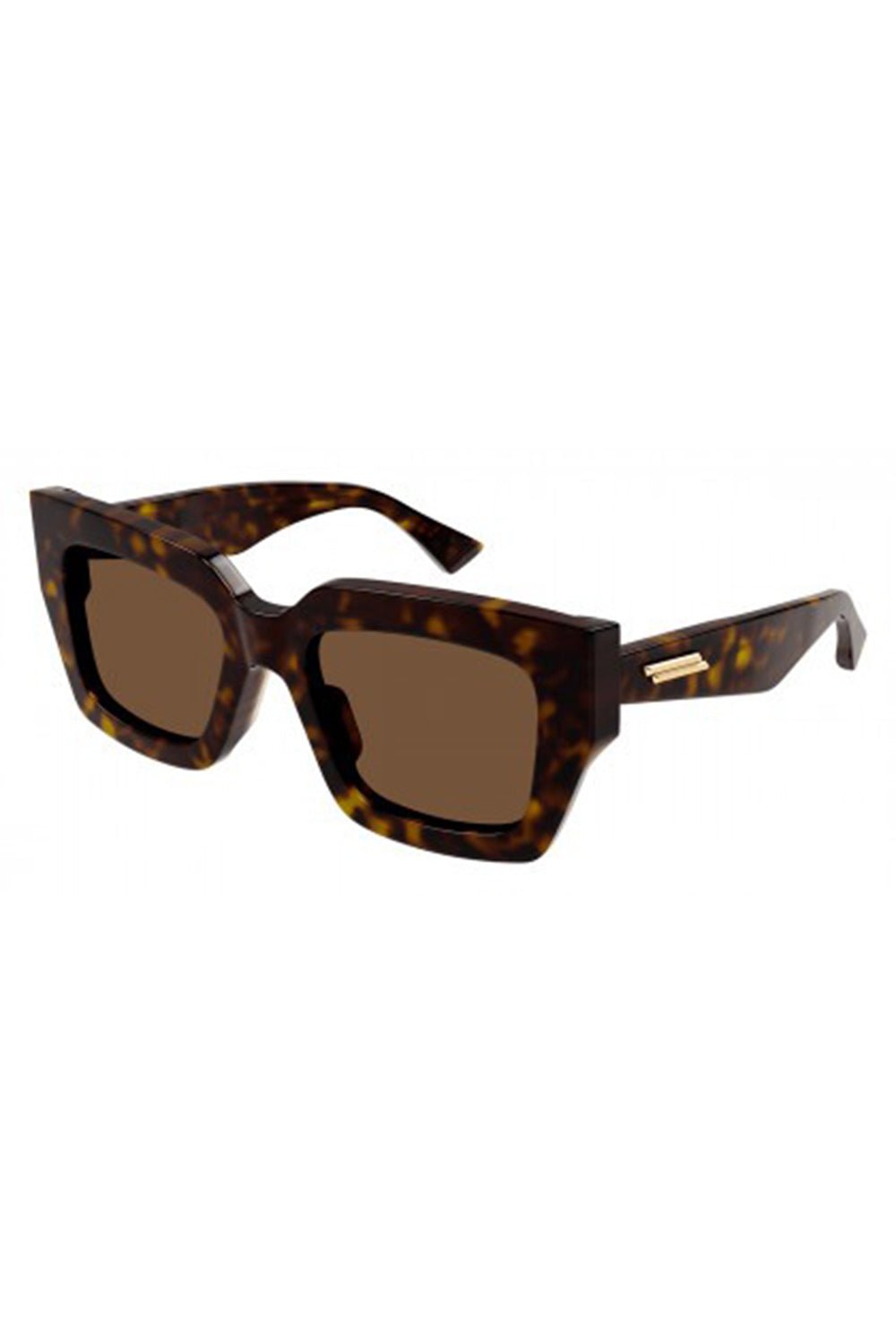 BOTTEGA VENETA-Full Rim Sunglasses-HV/HV/BR
