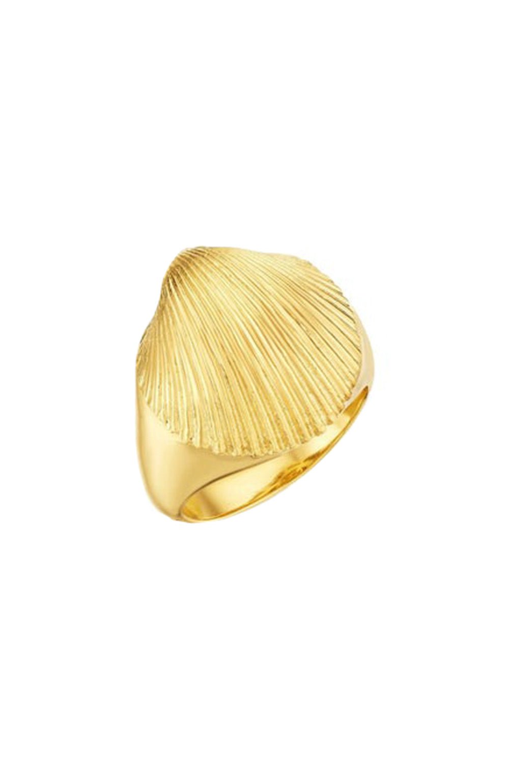 CADAR-Shell Pinky Ring-YELLOW GOLD