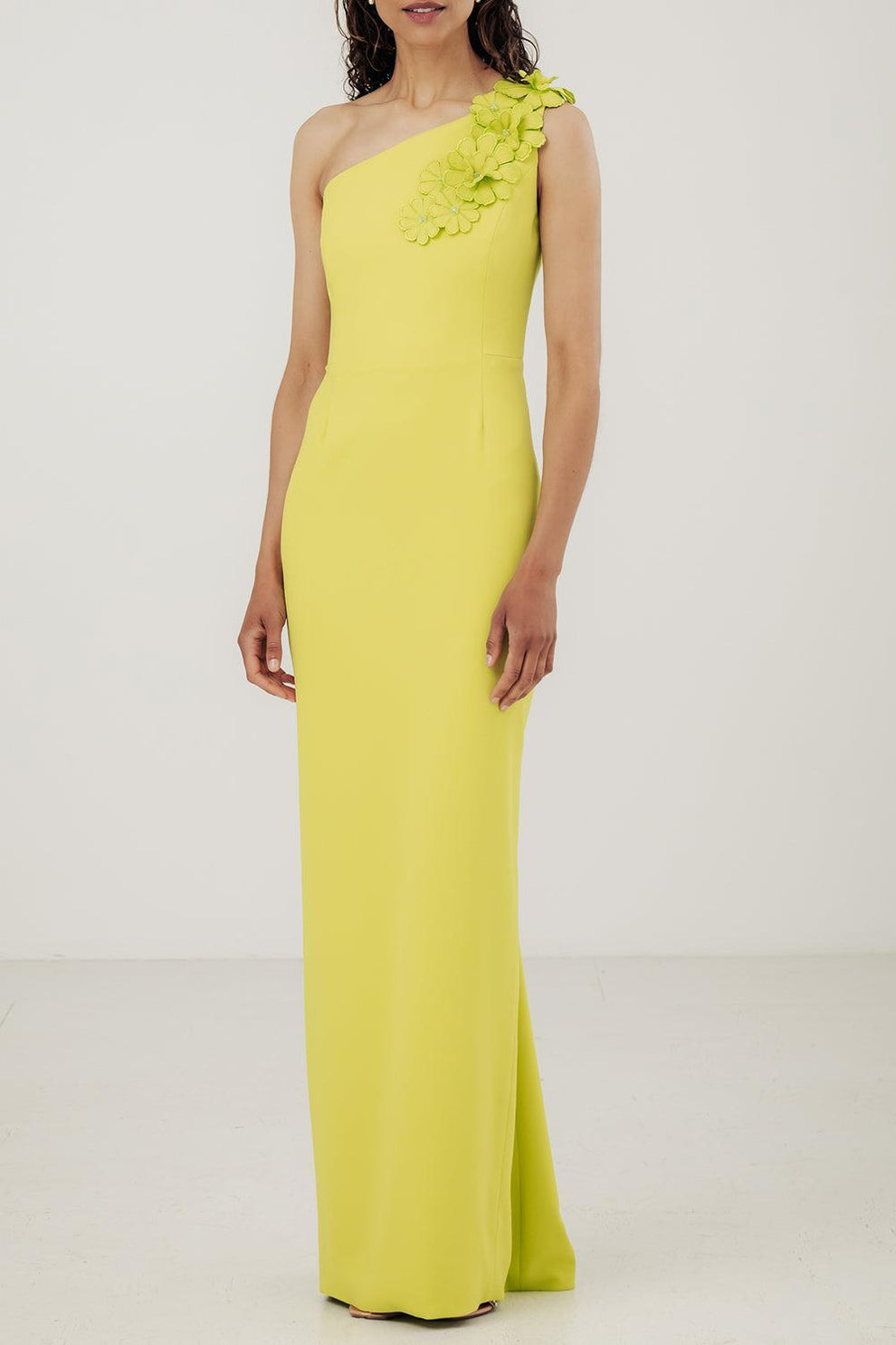 Catherine REGEHR: Embroidered Sheath Dress