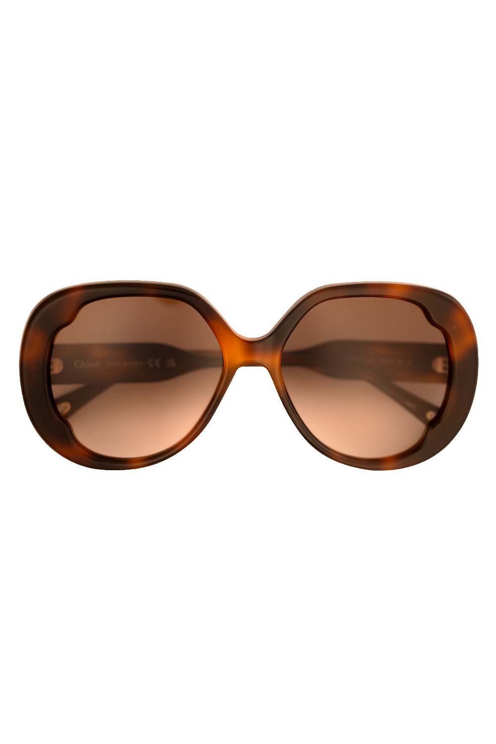 CHLOÉ-Butterfly Full Rim Sunglasses-HAV/HAV