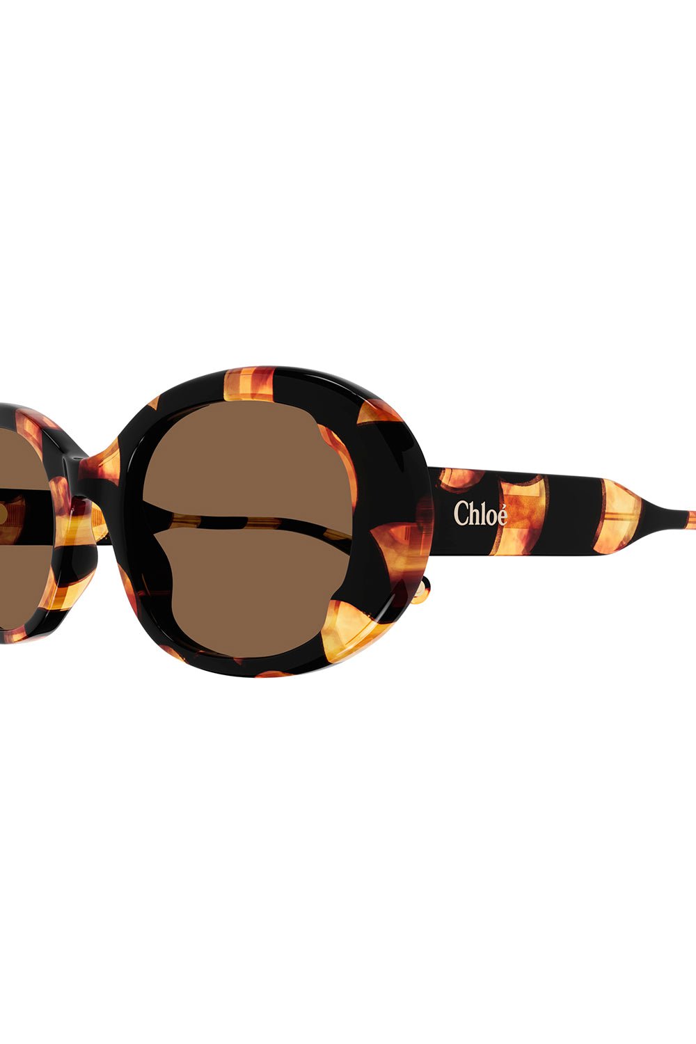 CHLOÉ-Round Sunglasses - Havana Tortoise-HAV/TORT