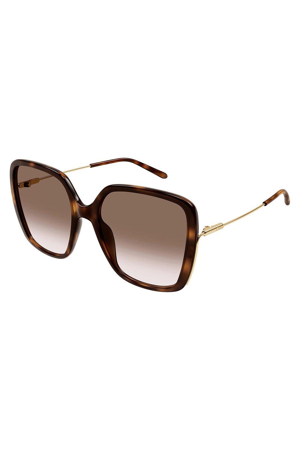 CHLOÉ-Elys Square Sunglasses - Havana-HV/GD/BR