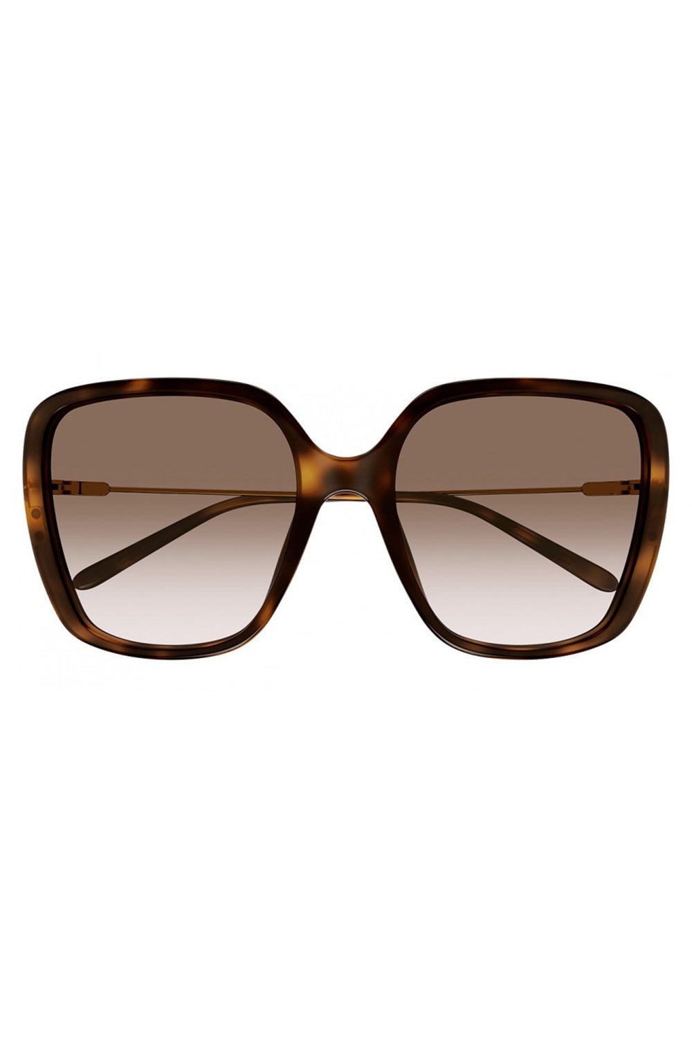 CHLOÉ-Elys Square Sunglasses - Havana-HV/GD/BR