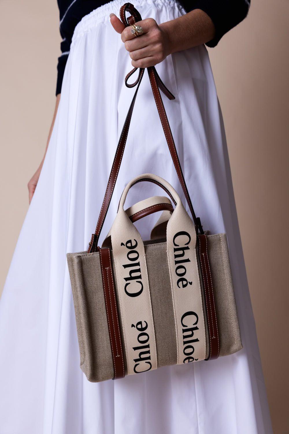 CHLOÉ-Small Woody Tote Bag - White Brown-WHT/BRWN