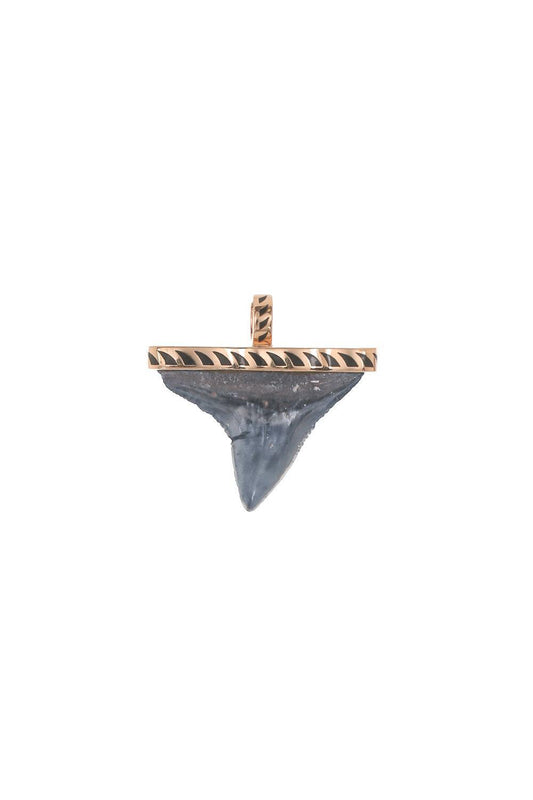 Grande Black Shark Tooth Pendant-ROSE GOLD-JEWELRYFINE JEWELPENDANT-DEZSO BY SARA BELTRAN