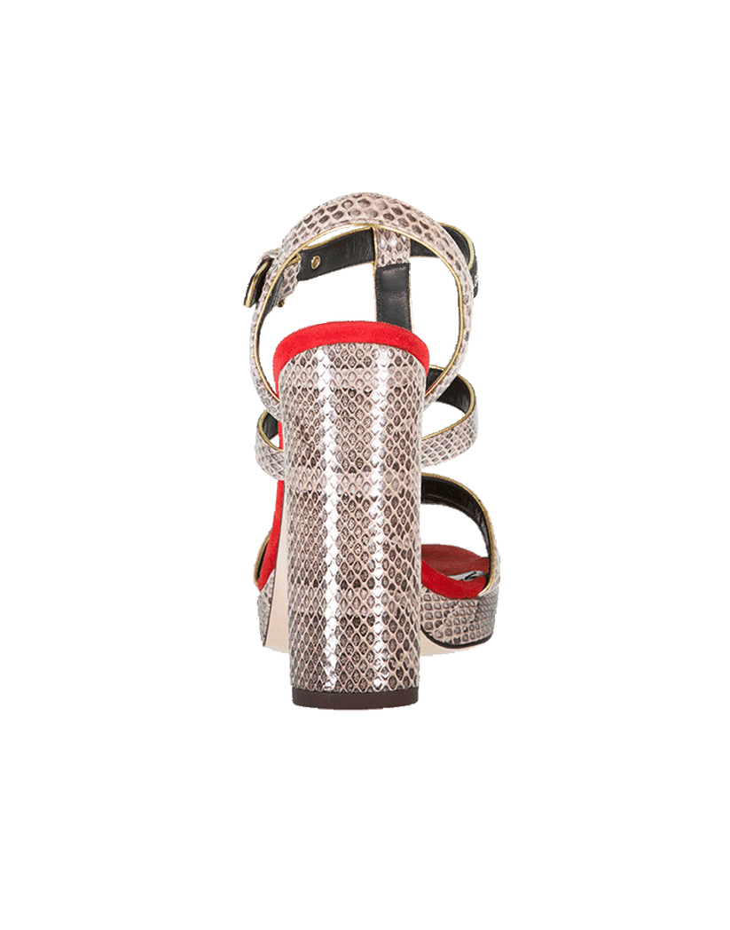 Ayers Sandal | DOLCE & GABBANA  Marissa Collections