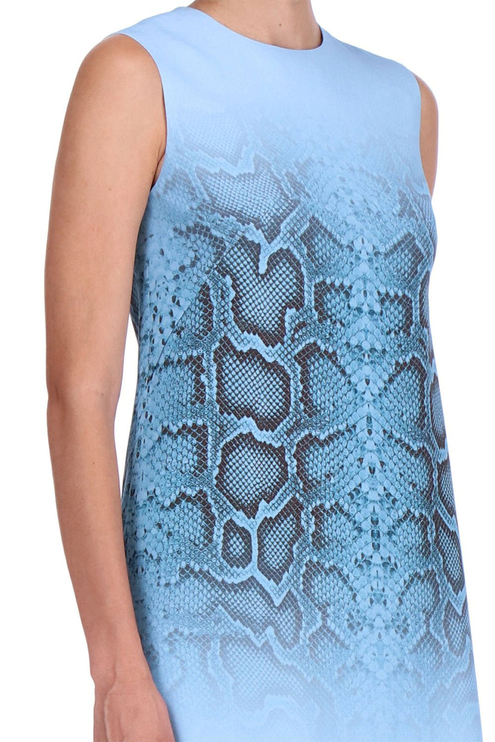 Snake Print Shift Dress - Pitone | ERMANNO SCERVINO  Marissa Collections