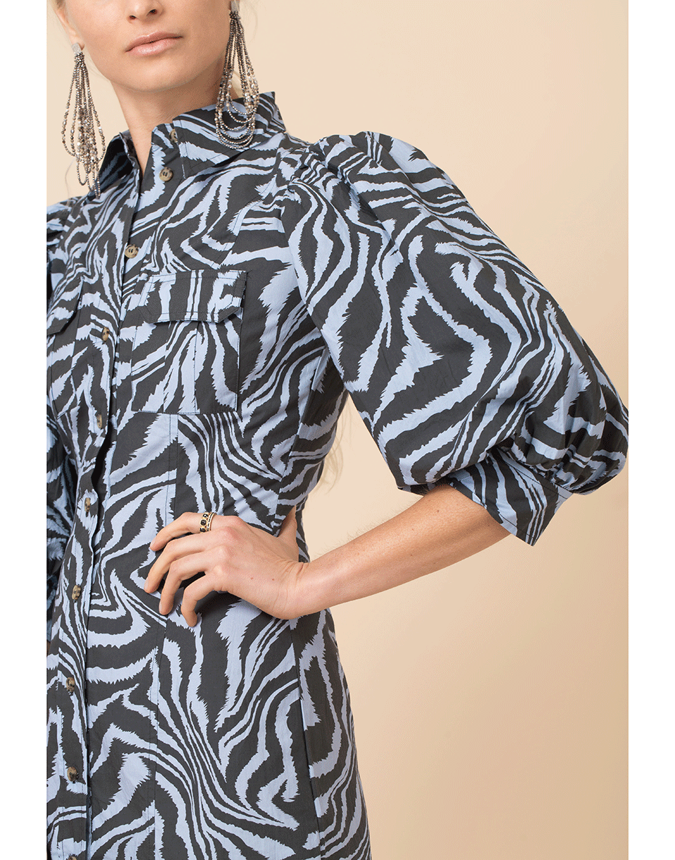 GANNI-Balloon Sleeve Print Shirt Dress-