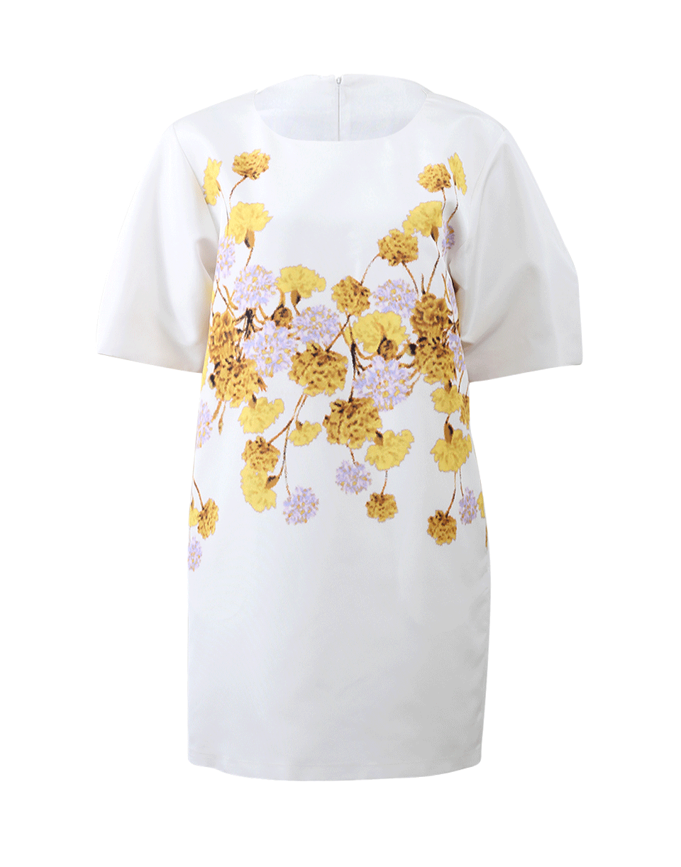 GIAMBATTISTA VALLI-Floral Print Dress-