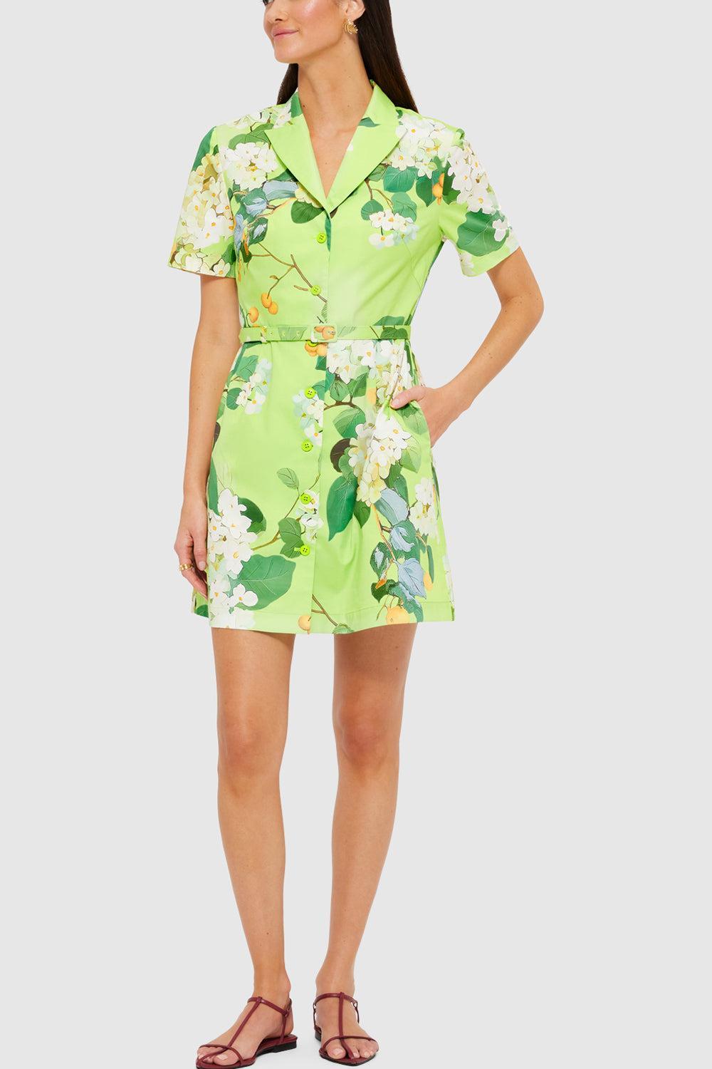 BRIGITTE DRESS-LIME-2-CLOTHINGDRESSCASUAL-LEO LIN