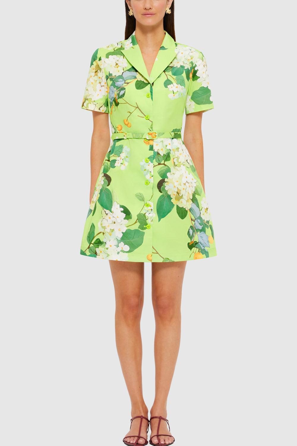 BRIGITTE DRESS-LIME-2-CLOTHINGDRESSCASUAL-LEO LIN