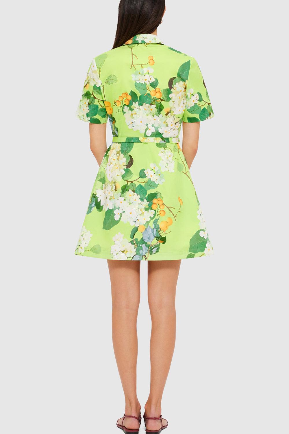 BRIGITTE DRESS-LIME-2-CLOTHINGDRESSCASUAL-LEO LIN