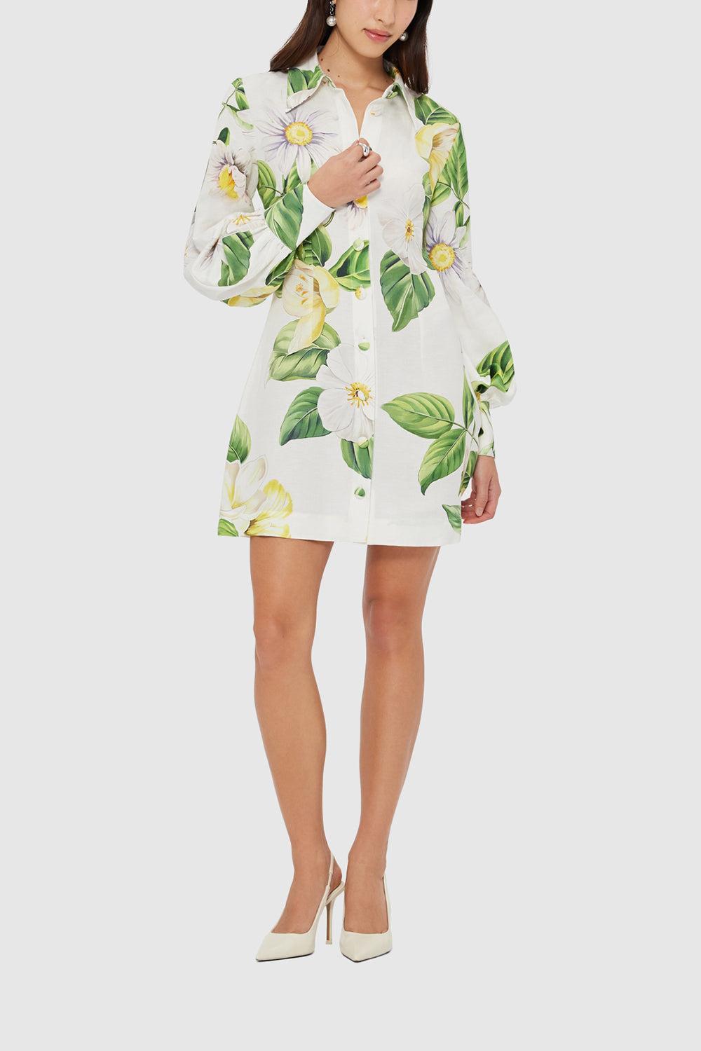 Joie Dress Joie Dress