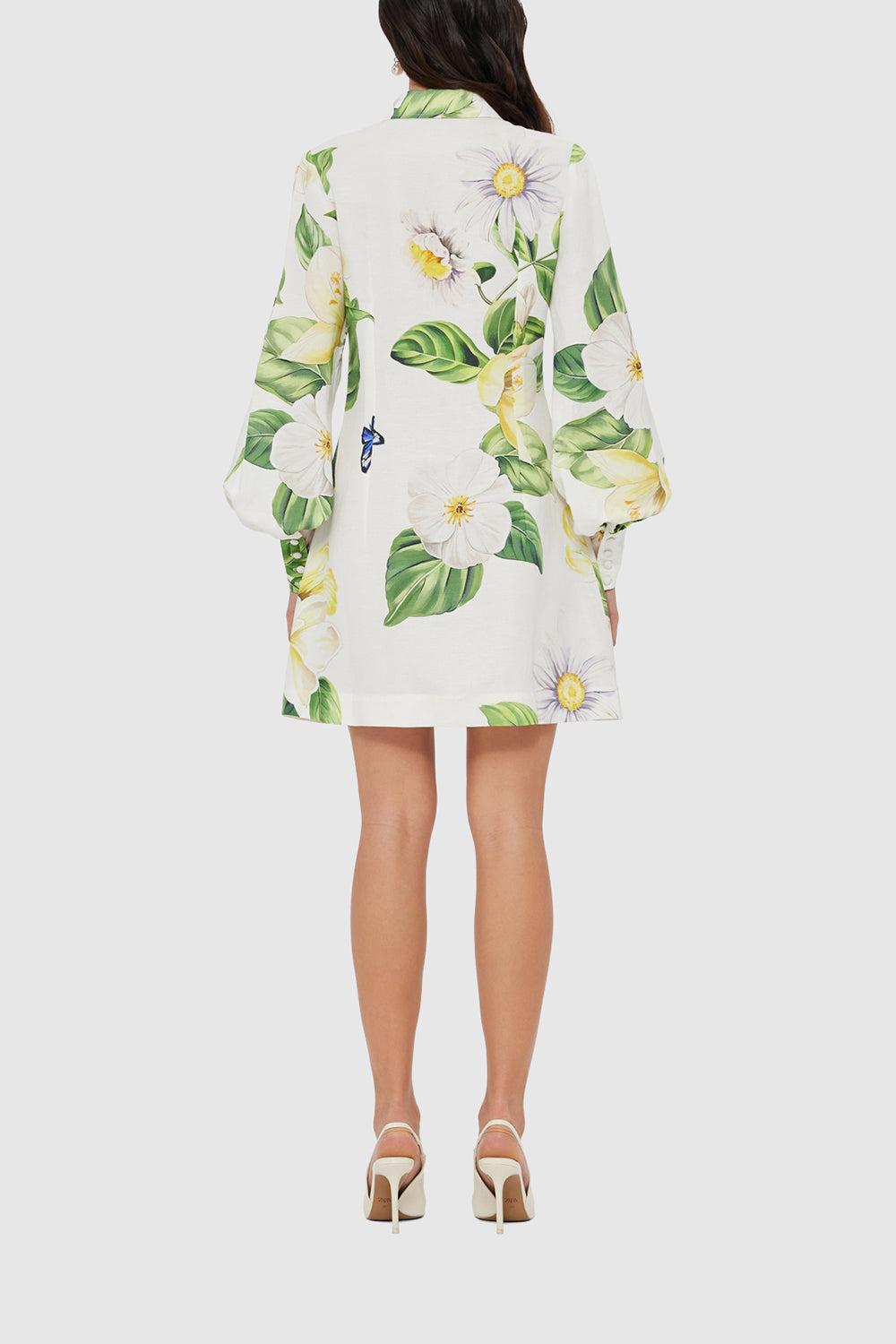Joie Dress Joie Dress