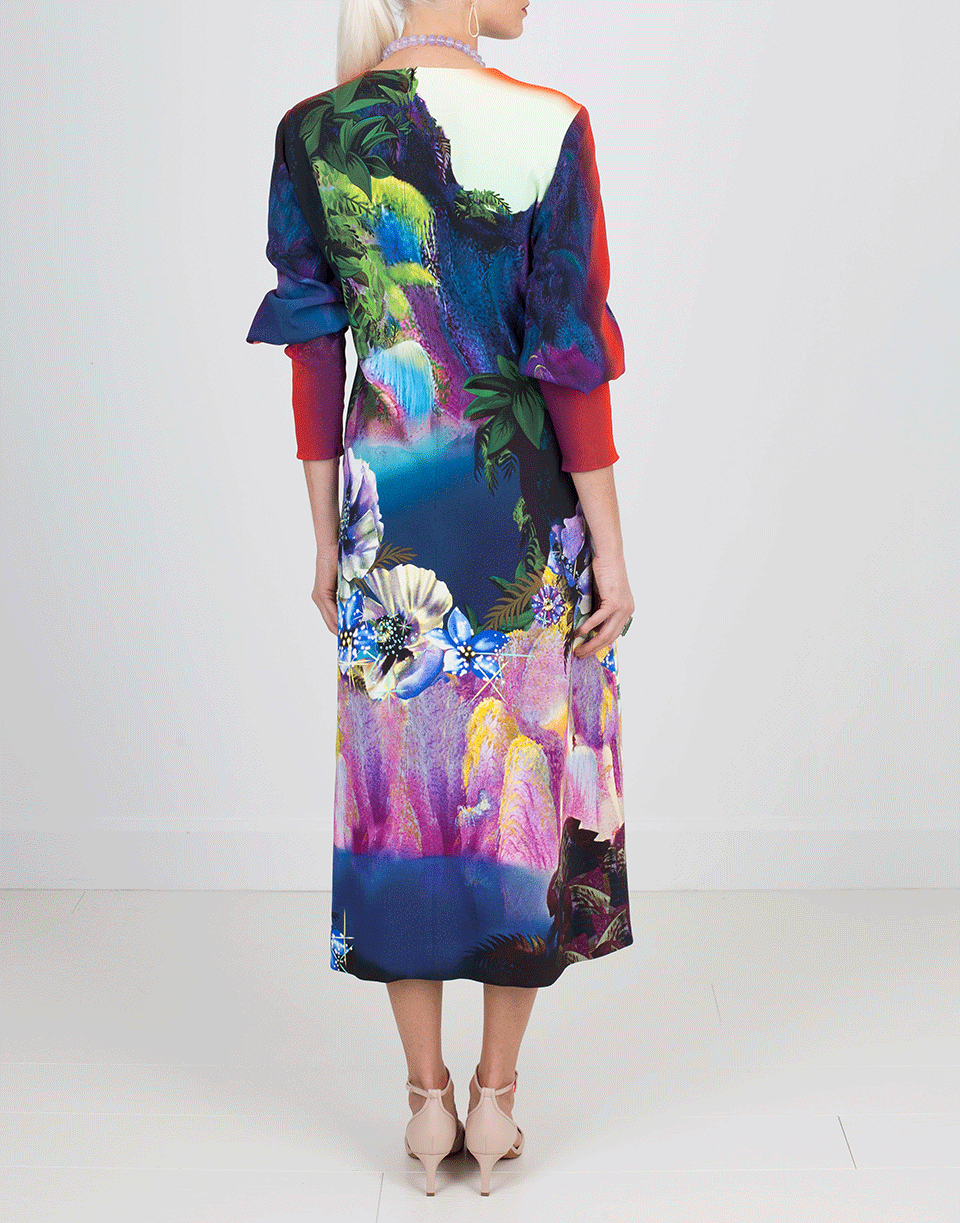MARY KATRANTZOU-Waterfall Print Dress-WATERFAL