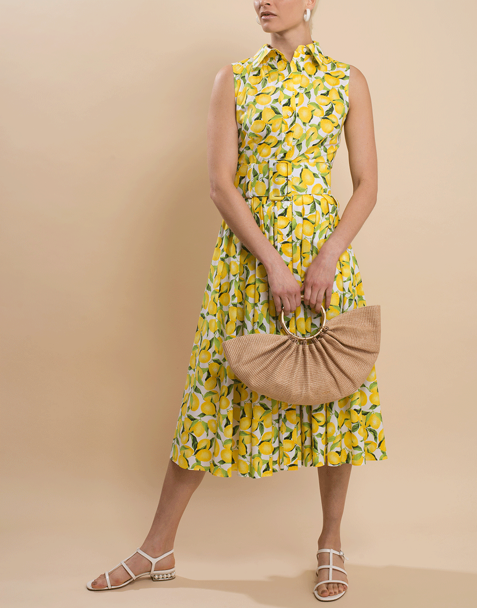 Sleeveless Lemon Print Belted Shirt Dress