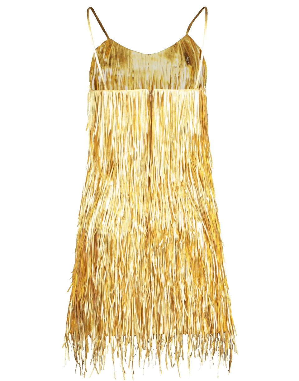 Metallic Fringe Slip Dress | MICHAEL KORS COLLECTION Marissa Collections Metallic Fringe Slip Dress | MICHAEL KORS COLLECTION Marissa Collections