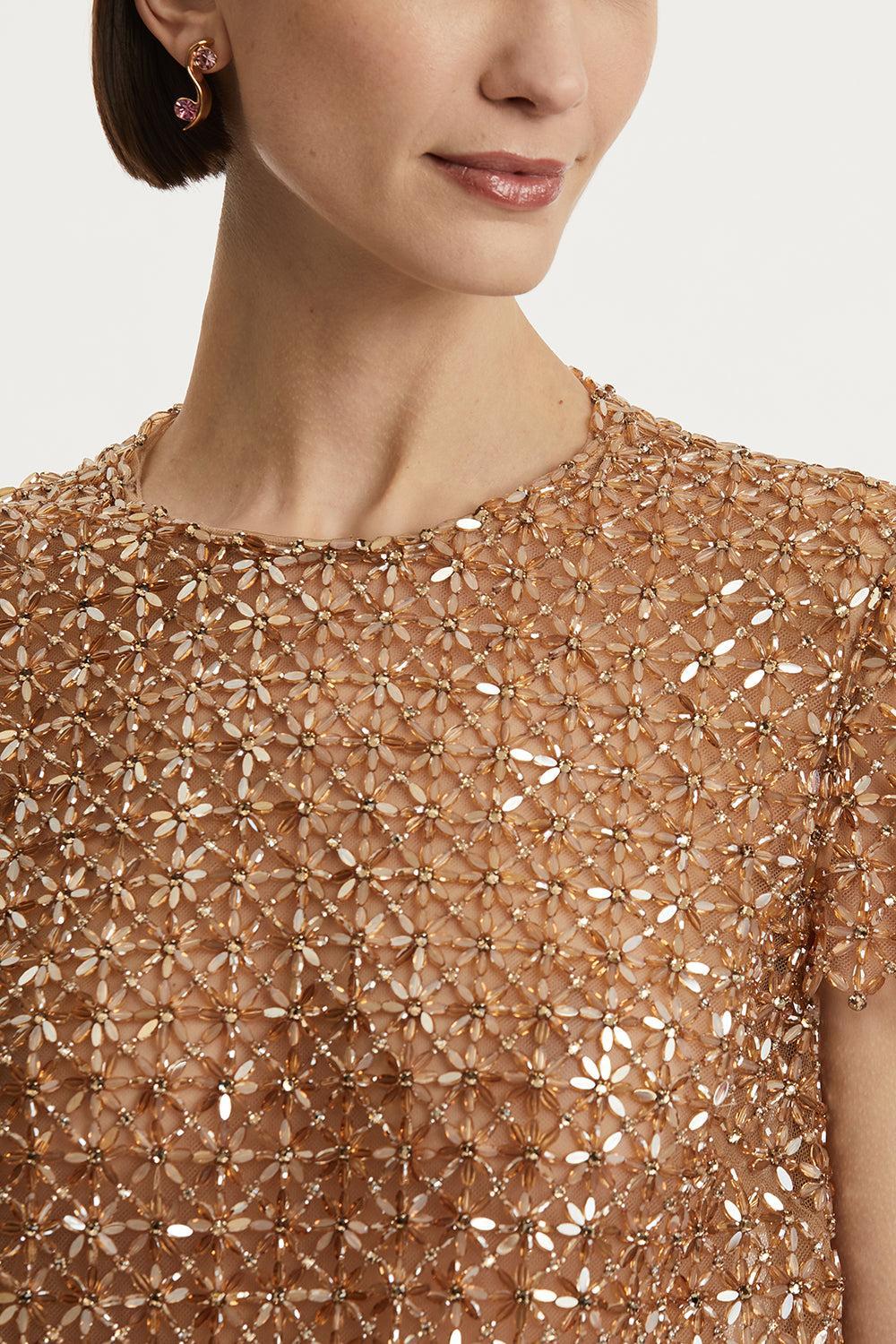 Embroidered Tulle Day Dress-AMBER-6-CLOTHINGDRESSCASUAL-OSCAR DE LA RENTA