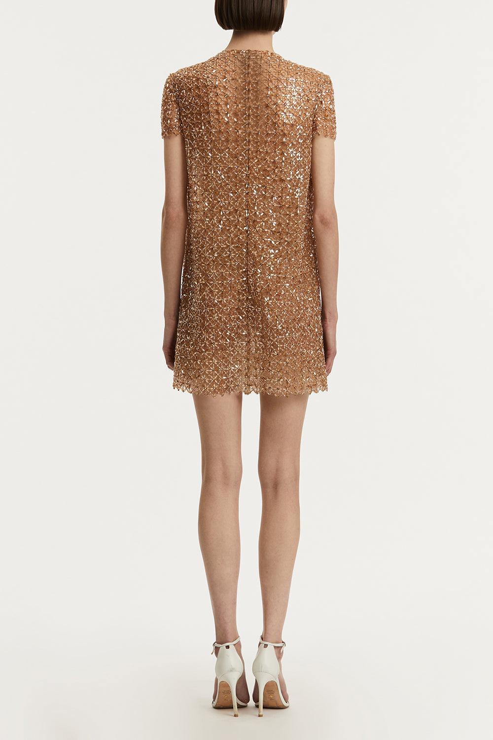 Embroidered Tulle Day Dress-AMBER-6-CLOTHINGDRESSCASUAL-OSCAR DE LA RENTA