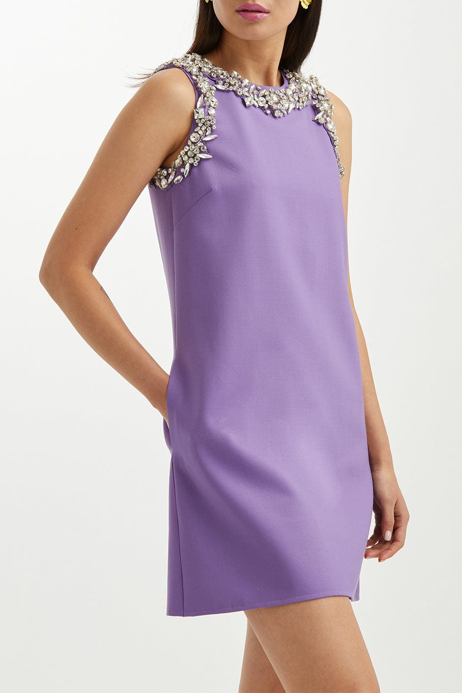 OSCAR DE LA RENTA-Sleeveless Crystal Embroidered Shift Dress-